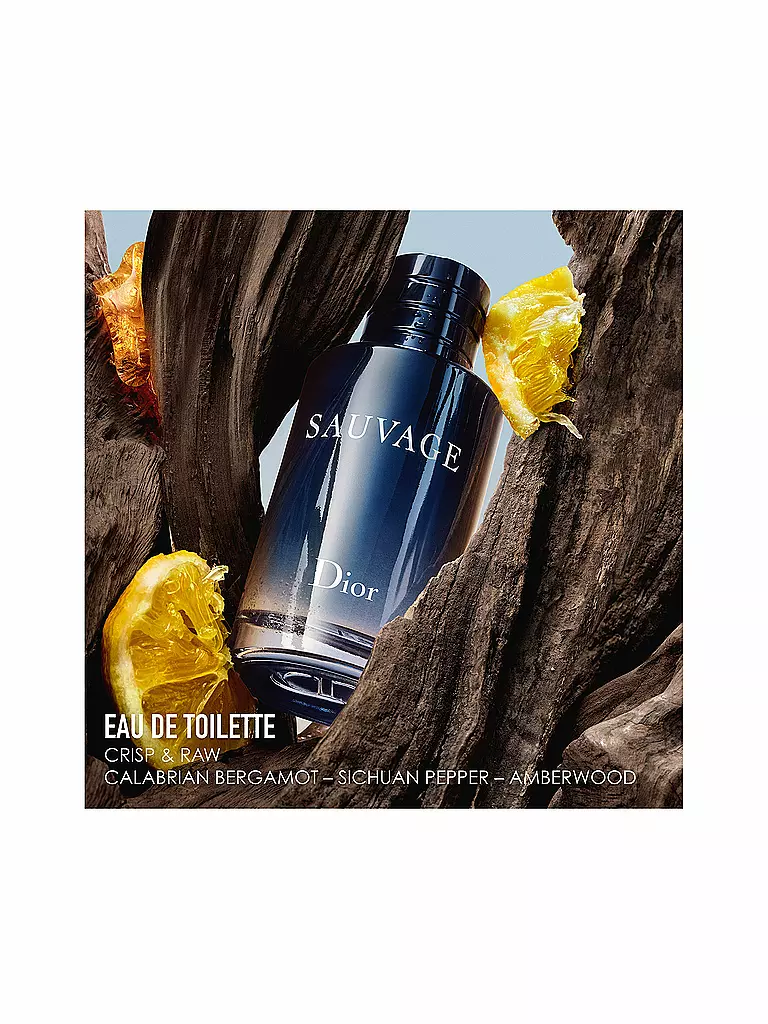 Sauvage edt 100 ml new arrivals